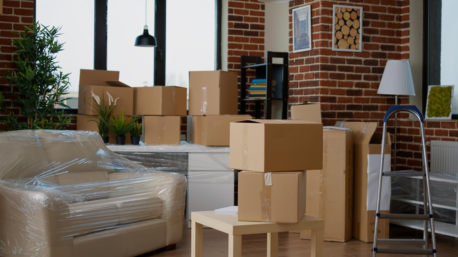 Appartement en déménagement avec cartons et canapé protégé, services les-rives-des-renards pour débarras dans le Tarn