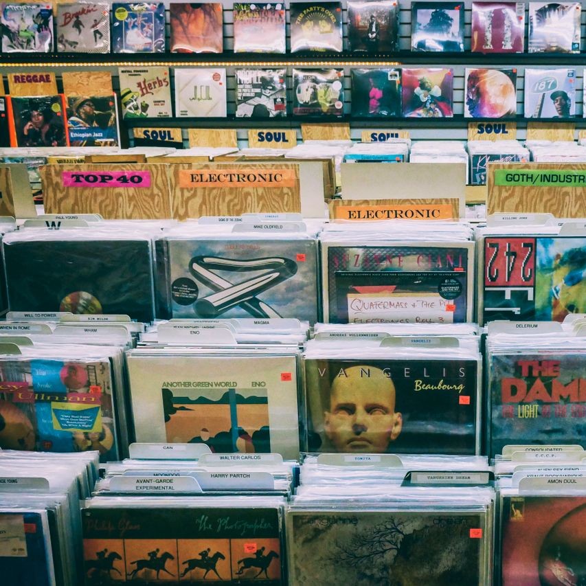 Magasin de vinyles organisé par genres chez les-rives-des-renards, ambiance rétro chaleureuse dans le tarn