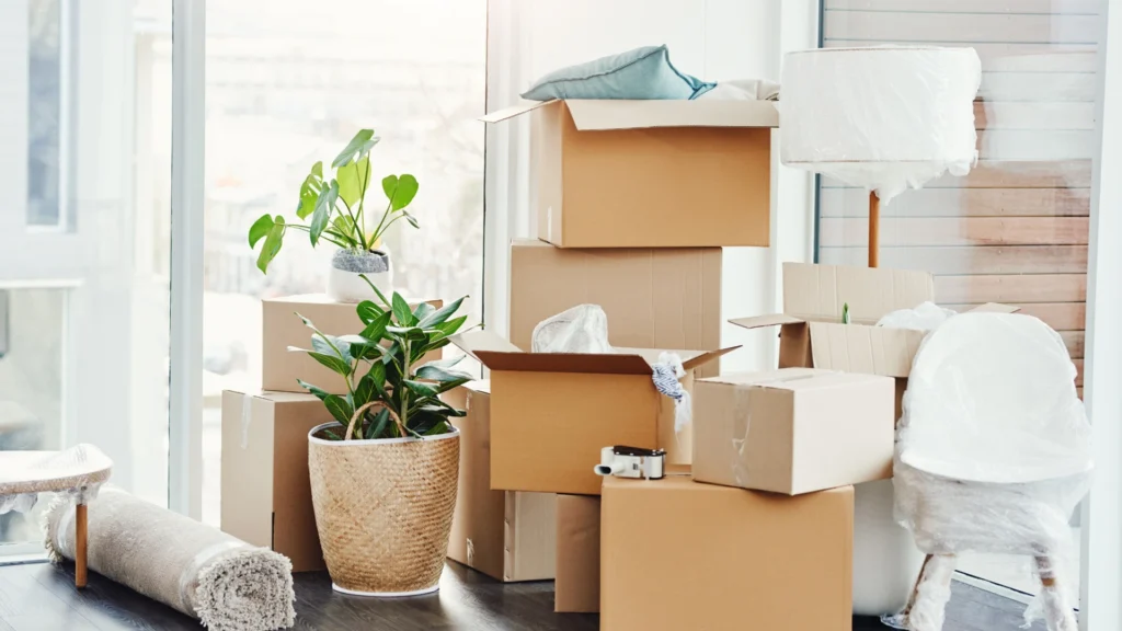 Salon lumineux en déménagement avec cartons et plantes, services les-rives-des-renards pour logement dans le Tarn